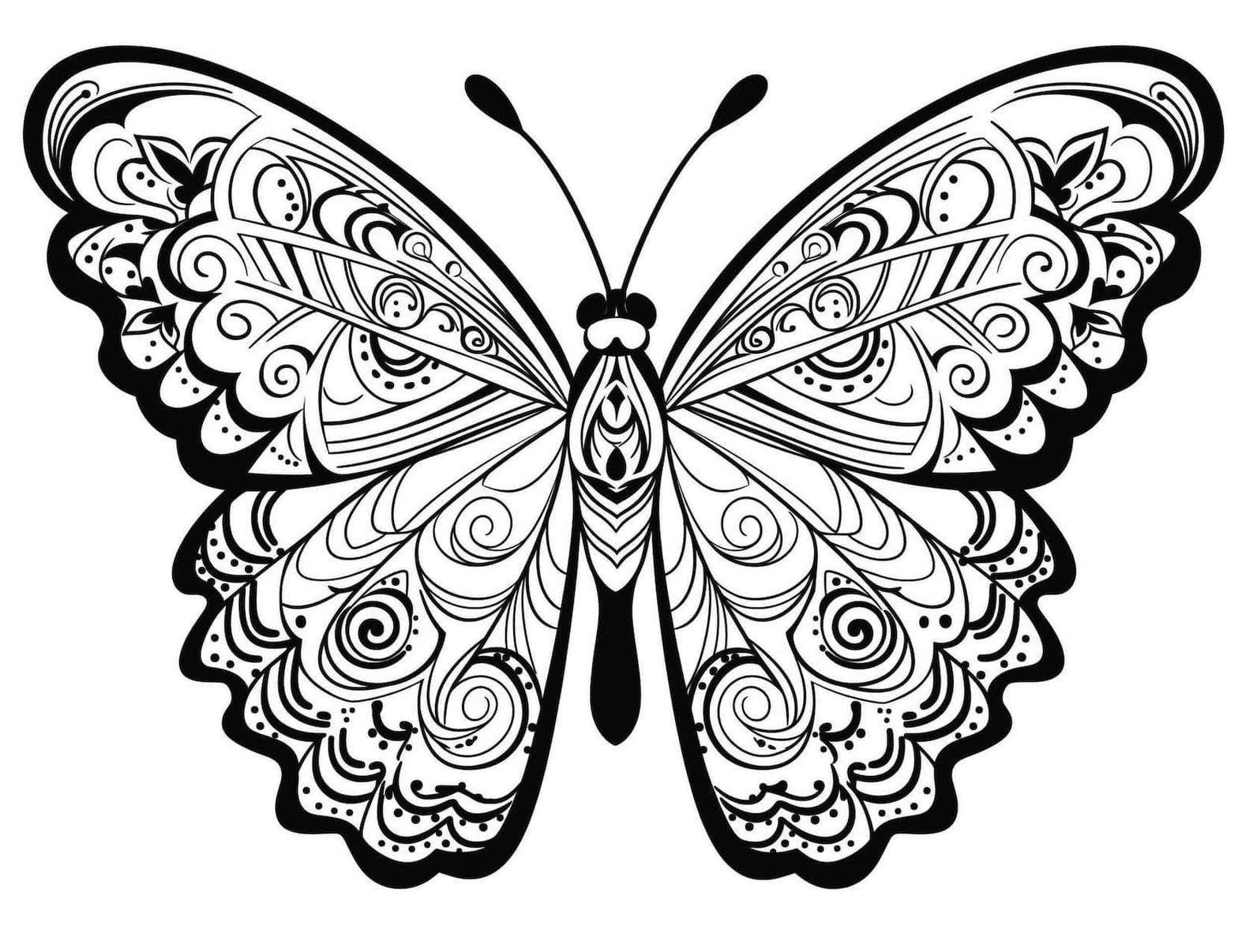 Detailed Butterfly Wings