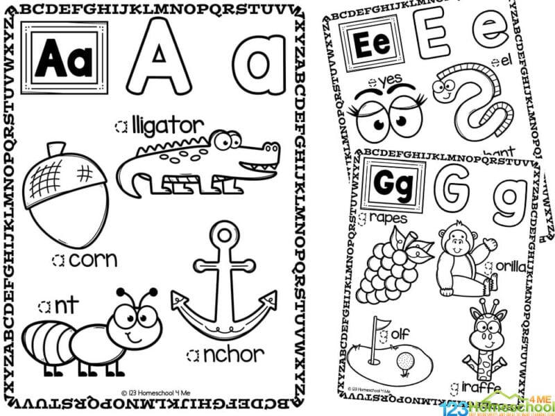 Alphabet coloring pages printable A alligator E eyes for preschool